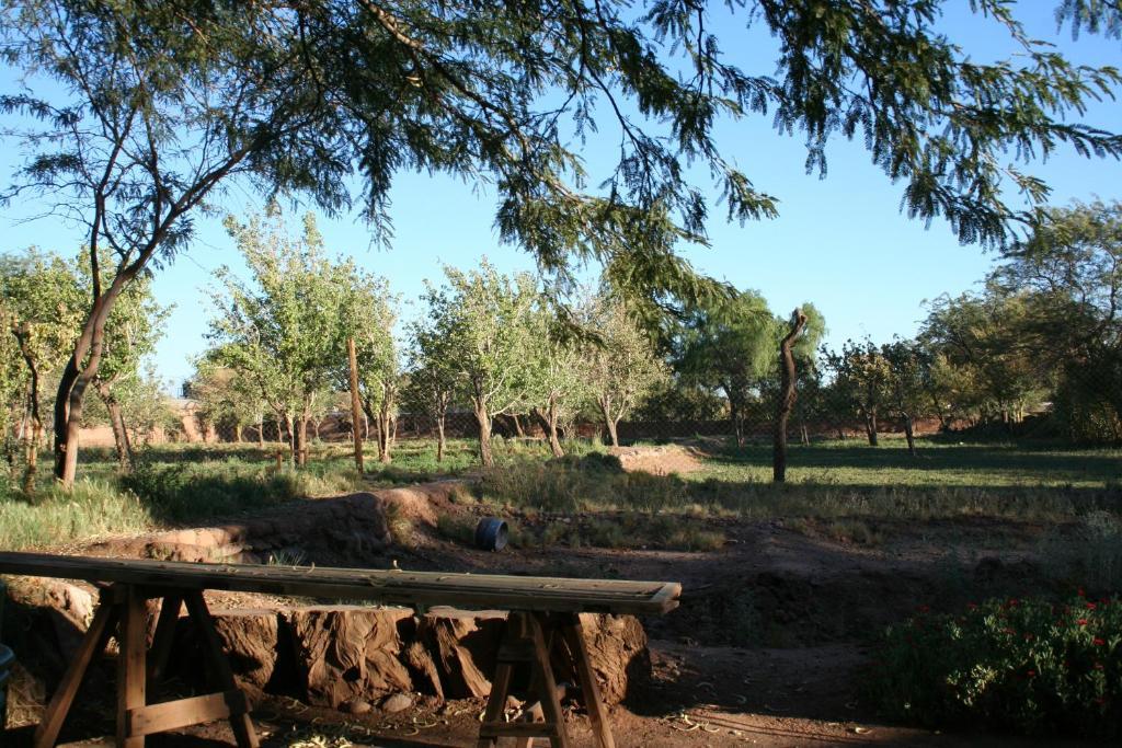 Quinta Adela Bed & Breakfast San Pedro de Atacama Exterior photo