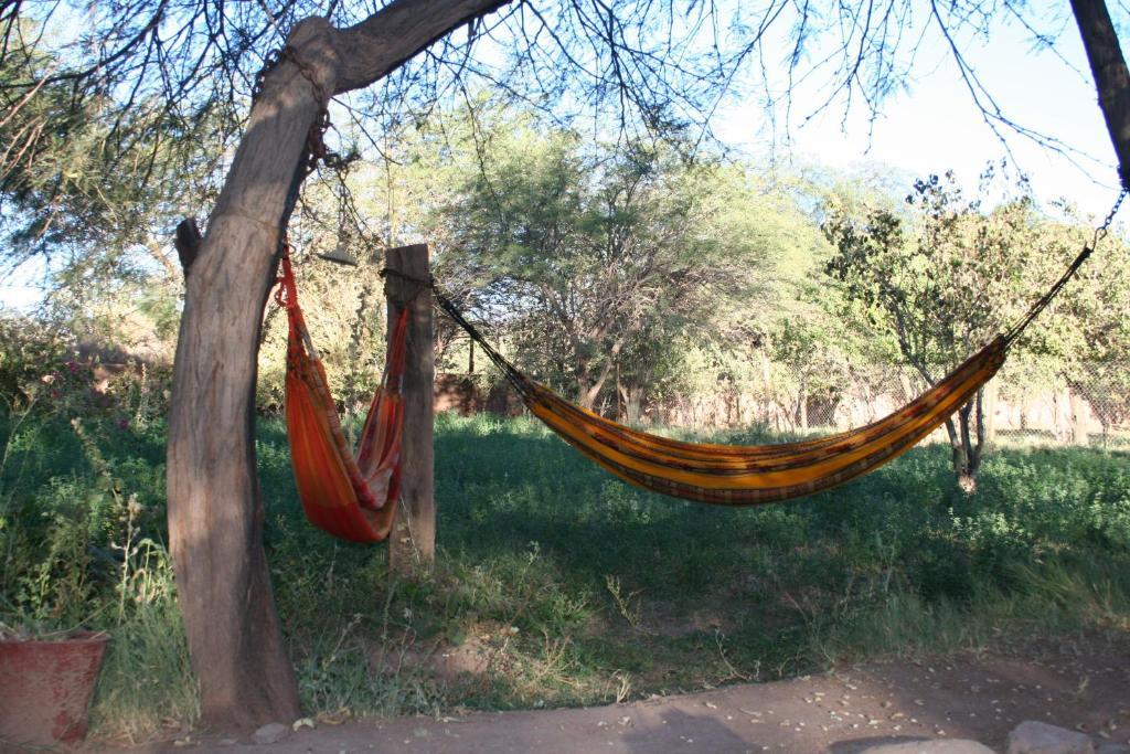 Quinta Adela Bed & Breakfast San Pedro de Atacama Exterior photo